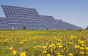 ep archivo   planta fotovoltaica