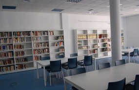 ep biblioteca municipalvejer