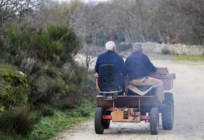 Conducir tractor, tractores, agricultor, agricultores, vida en el campo | EUROPA PRESS ep conducir tractor tractores agricultor agricultores vidacampo