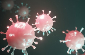 ep coronavirus 20200306165005