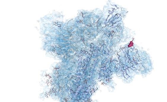 ep estructura del trimero de la proteina que forma las espiculas del virus sars-cov-2 obtenida por ep estructura del trimero de la proteina que forma las espiculas del virus sars-cov-2 obtenida por