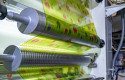 ep planta de iflex
