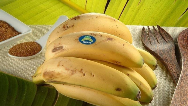 ep platano de canarias