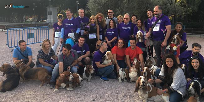 ep rastreatorcom promueveadopciontenencia responsableanimalesuna c