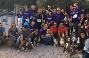 ep rastreatorcom promueveadopciontenencia responsableanimalesuna c