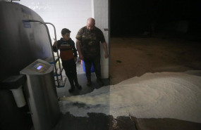 ep un ganadero vierte la leche al suelo despues de que la industria lactea tenga que parar su