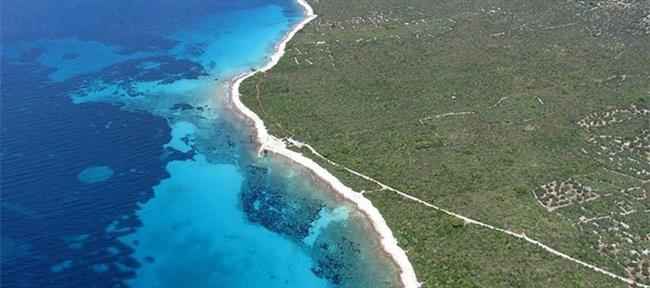 Vista aérea de un círculo de hada en una pradera de Posidonia delAdriático | DUGIOTOK ep vista aereaun circulohada enpraderaposidonia deladriatico