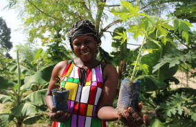 smoking paper giving tuesday 1 1 20241204121119 smoking paper giving tuesday 1 1 20241204121119