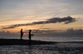 Fish Fishing sea sunset Fish Fishing sea sunset
