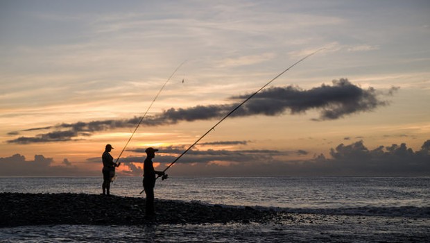 Fish Fishing sea sunset