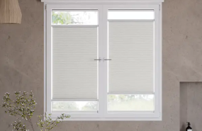 captura de pantalla 2024 11 19 120519