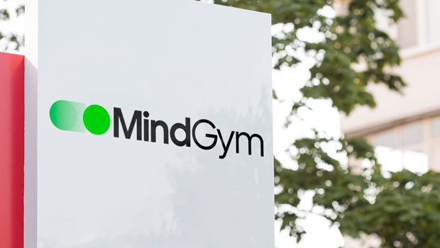 dl mind gym aim business services human resources capital logo
