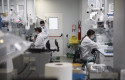 ep archivo   varios trabajadores en el laboratorio de la fabrica de reig jofre en barcelona en una