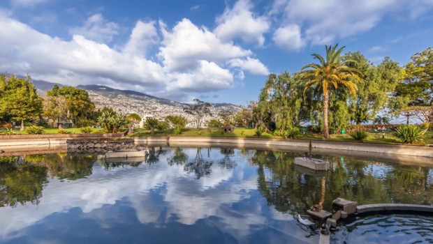 ep barcelo invierte mas de 50 millones en la adquisicion y reforma de dos hoteles en madeira