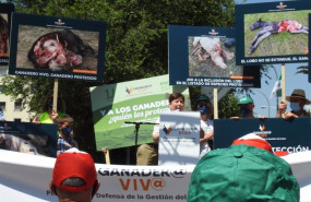 ep concentracion en madrid en rechazo a la proteccion del lobo