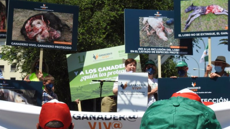 ep concentracion en madrid en rechazo a la proteccion del lobo ep concentracion en madrid en rechazo a la proteccion del lobo