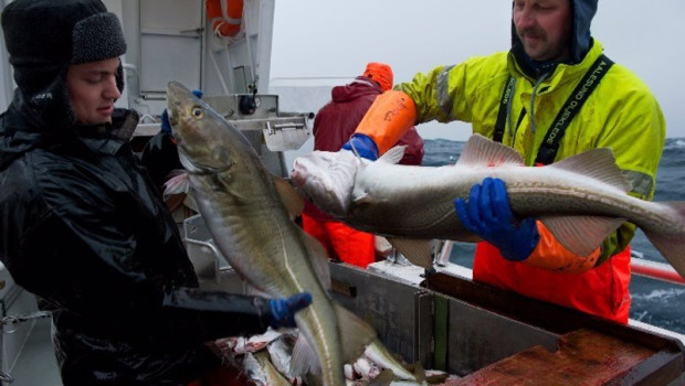 ep consejo de productos del mar de noruega
