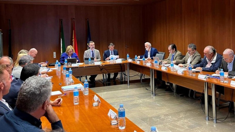 El consejero de Agricultura, Pesca, Agua y Desarrollo Rural, Ramón Fernández- Pacheco, en la reunión de la Mesa de Interlocución Pesquera y Acuícola, celebrada en Sevilla con los representantes del sector. | JUNTA DE ANDALUCÍA ep el consejero de agricultura pesca agua y desarrollo rural ramon fernandez pacheco en la reunion