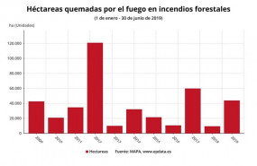 ep hectareas quemadasfuegoincendios forestales30junio2019 mapa
