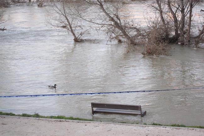 ep inundacion rio ebro
