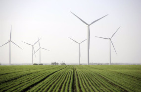 ep la mitad de los espanoles desconoce lo que significa la transicion ecologica segun cepsa ep la mitad de los espanoles desconoce lo que significa la transicion ecologica segun cepsa