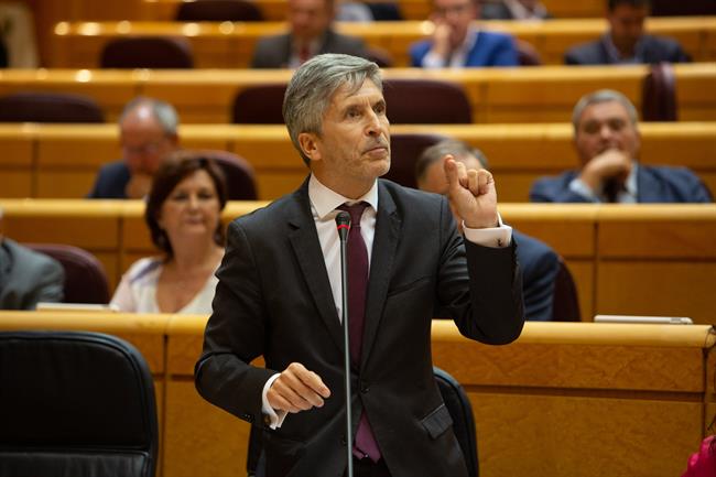 El ministro del Interior Fernando Grande- Marlaska en el Senado | RICARDO RUBIO/ EUROPA PRESS ep ministrointerior fernando grande- marlaskasenado