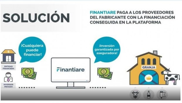 ep plataforma digital de finantiare y cesce