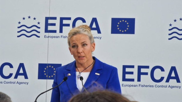 ep susan steele efca