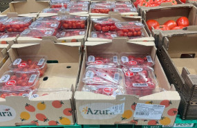 ep tomates cherry