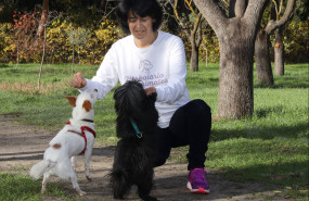 perrosgatosherbolarioanimalesprimavera 20250320164719 