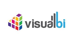 1629114346 visualbi