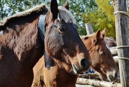 1634916660 captura de pantalla 2021 10 22 a les 172835