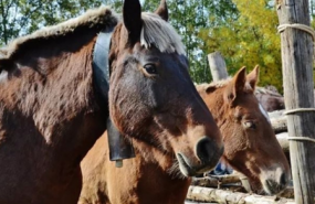 1634916660 captura de pantalla 2021 10 22 a les 172835