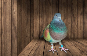 captura de pantalla 2024 07 08 a las 84838 am 1