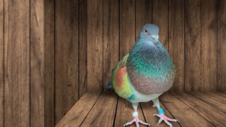 captura de pantalla 2024 07 08 a las 84838 am 1