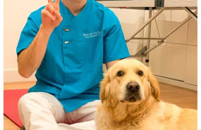 centro fisioterapia valladolid raul de frutos centro fisioterapia valladolid raul de frutos