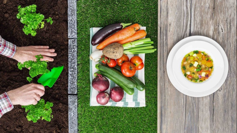 del cultivo a la mesa