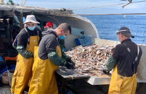 ep cepesca