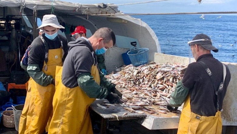 ep cepesca ep cepesca