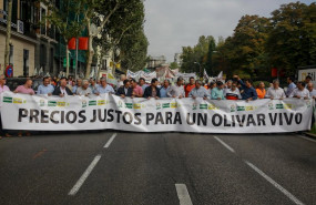 ep comienza la solicitud de ayudas de almacenamiento privado de aceite de oliva con los aranceles de