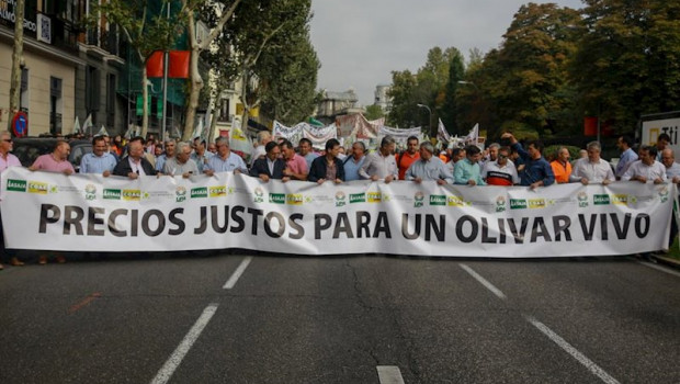 ep comienza la solicitud de ayudas de almacenamiento privado de aceite de oliva con los aranceles de