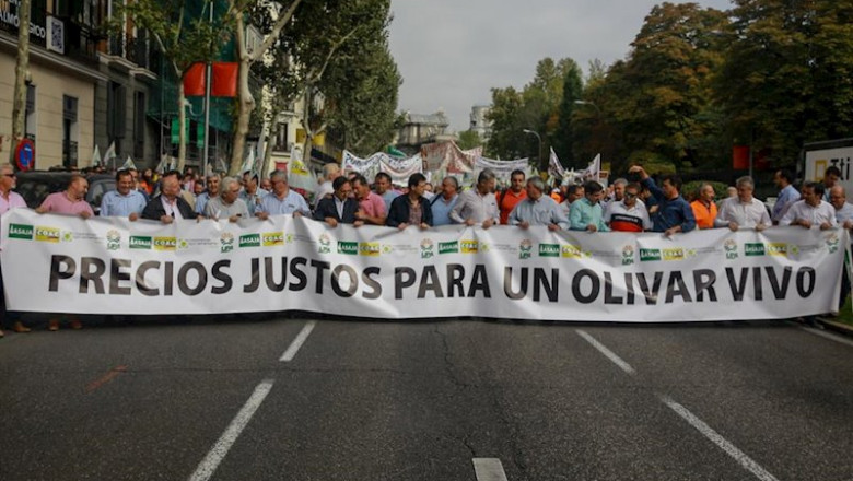 Comienza la solicitud de ayudas de almacenamiento privado de aceite de oliva, con los aranceles de fondo | Ricardo Rubio - Europa Press - Archivo ep comienza la solicitud de ayudas de almacenamiento privado de aceite de oliva con los aranceles de