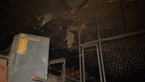 ep explotacion avicola en llucmajor ep explotacion avicola en llucmajor