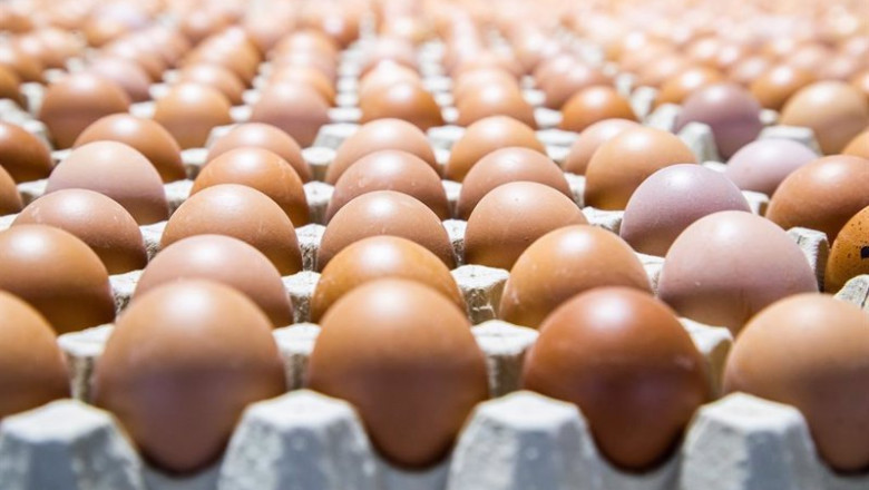 ep huevos 20210607125205 ep huevos 20210607125205