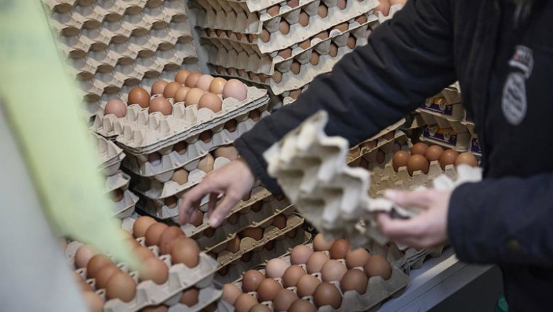 ep huevos en un supermercado