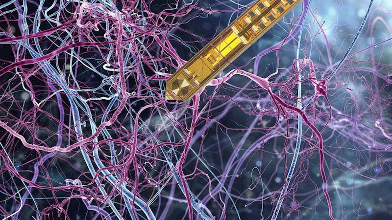 ep ilustracion de la pequena aguja en el tejido cerebral