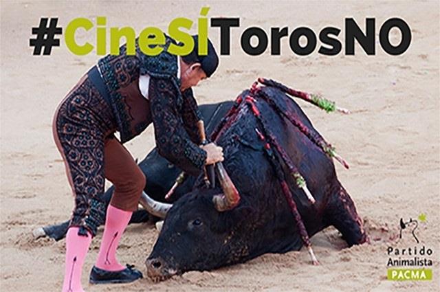 PACMA lanza la campaña #CineSÍTorosNO | PACMA ep pacma lanzacampana cinesitorosno