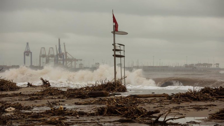 ep platja de larbre del gos a 13 de noviembre de 2024 en valencia comunidad valenciana espana ep platja de larbre del gos a 13 de noviembre de 2024 en valencia comunidad valenciana espana