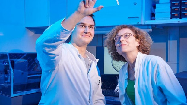 ep tobias claff y la dra christa muller de la universidad de bonn estan mirando una placa sandwich