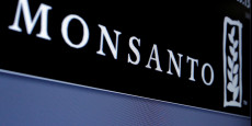 france-ouverture-du-proces-en-appel-d-un-agriculteur-contre-monsanto france-ouverture-du-proces-en-appel-d-un-agriculteur-contre-monsanto